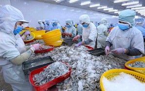 Tổng Giám đốc một công ty thủy sản lớn xin nghỉ việc vì "cảm thấy năng lực không còn đáp ứng được"