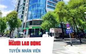Báo Người Lao Động tuyển dụng nhân viên lái xe