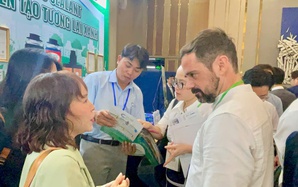 Công trình xanh, giao thông xanh nở rộ