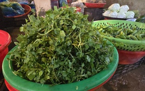 Giá nông thủy sản miền Tây: Rau xanh tăng giá vùn vụt