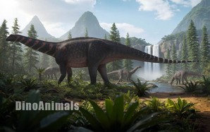 Mở ngăn kéo bảo tàng, phát hiện loài quái thú khổng lồ mới