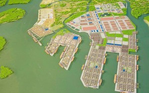 TP HCM đề xuất 21 chính sách cho khu thương mại tự do Cái Mép Hạ 3.800 ha