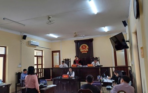 Tại tòa, nữ “đại gia” thủy sản có tiếng ở Cà Mau bất ngờ đề nghị được tuyên vô tội