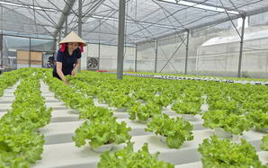 Tháo điểm nghẽn cho nông sản sạch TP HCM