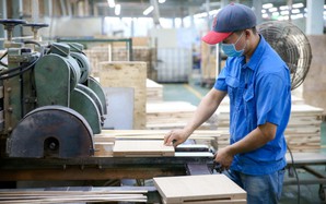 Kinh tế tư nhân - Động lực phải thành thực tế