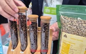 Giá cà phê hôm nay 14 -11: Tiếp tục rớt giá