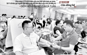 Báo in ngày 15-11: Báo động - kho máu y tế TP HCM đang cạn