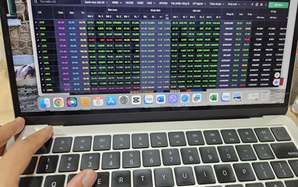 Ngắt mạch giảm sâu, chứng khoán liệu có phiên bùng nổ tuần tới?