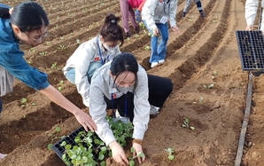 Tỉnh Jeju tăng tiếp nhận lao động thời vụ Việt Nam