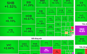 Chứng khoán ngày 18-11: Cơ hội chuyển vốn sang cổ phiếu thu hút dòng tiền