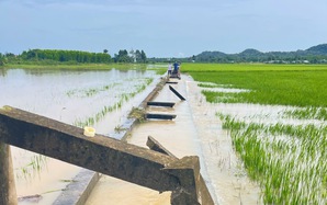 Mưa lớn kéo dài, nhiều xã ở Bà Rịa - Vũng Tàu cũ thiệt hại nặng nề