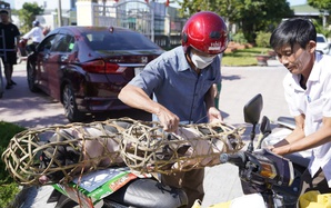 Giảm nghèo bền vững: Bài học kinh nghiệm từ những mô hình hay của thành phố Huế