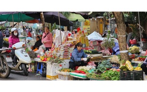 Bát phở có thể tăng giá vì cọng hành, người dân ngóng mãi giá rau xanh không giảm