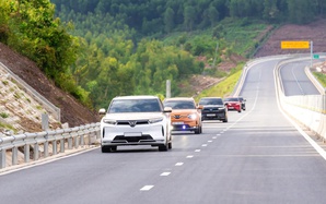 "Vàng xanh" của thị trường tín chỉ carbon