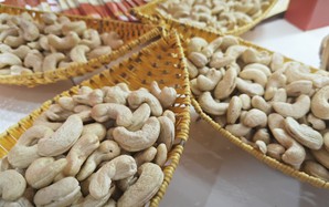 Ngành điều VIệt Nam làm nên "kỳ tích"