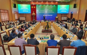 "Bão chồng bão", "lũ chồng lũ"… khiến 409 người chết và mất tích, thiệt hại hơn 85.000 tỉ đồng