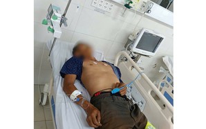 Ngộ độc sau khi ăn bọ xít, một bệnh nhân nguy kịch