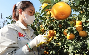 Lao động EPS cần chuẩn bị gì trước khi sang Hàn Quốc làm việc?