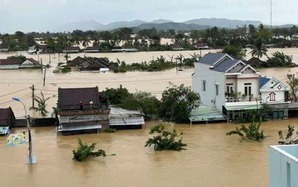 Cục Thuế hoả tốc chỉ đạo miễn, giảm thuế tại các tỉnh bị thiệt hại do mưa lũ