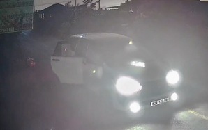 Vụ trộm chó bằng ôtô ở Tây Ninh: Bắt 1 đối tượng, mở rộng điều tra