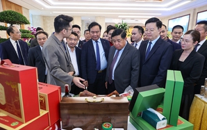 2 Phó Thủ tướng đồng chủ trì Diễn đàn về liên kết hiệu quả giữa hợp tác xã và doanh nghiệp