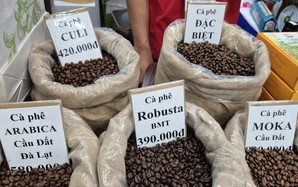 Giá cà phê hôm nay 29-11: Thêm phiên tăng và định hướng mới của cà phê Việt
