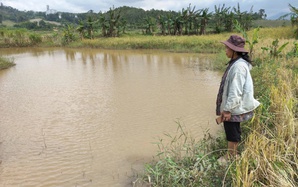 Thủy điện tích nước làm ngập đất sản xuất nhưng suốt nhiều năm "không thiện chí" đền bù!