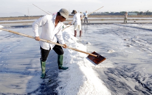 Cuộc thi viết về nghề và làng nghề truyền thống TP HCM năm 2025: Trăm năm nghề muối