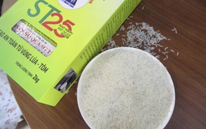 Gạo ST 25 lần thứ 3 thắng giải "gạo ngon nhất thế giới"