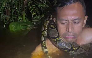Cảnh tượng kinh hoàng: Trăn khổng lồ kéo người trên thuyền xuống sông ở Indonesia