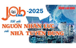 Job Link 2025: Kết nối nguồn nhân lực với nhà tuyển dụng
