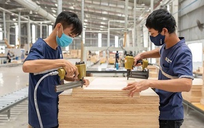 Ngành gỗ chuyển đổi kép để thoát gia công