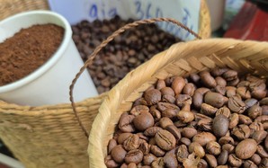 Giá cà phê hôm nay 1-12: Dồn dập thu hoạch và khuyến cáo quan trọng