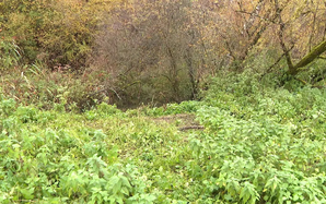 Án mạng rúng động ngôi làng nhỏ ở Pháp