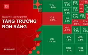 Chứng khoán Việt Nam không có bong bóng, xác suất tăng điểm tháng 12 tới 75%