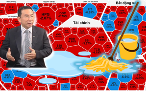 Chuyên gia lý giải nguyên nhân chứng khoán Việt Nam "sale off" 52 điểm ngày 12-12