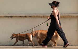 Đừng để sự thờ ơ gây họa cộng đồng