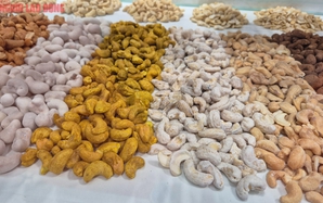 Trung Quốc ồ ạt mua một loại hạt của Việt Nam