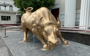 Sở Giao dịch Chứng khoán TPHCM thay biểu tượng "bò tót tấn công" sau 25 năm?