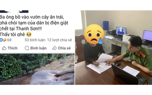 Cái kết của người phụ nữ đăng tin voi rừng bị điện giật chết ở Đồng Nai