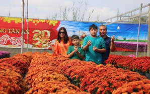 Nhiều tuyến du lịch trải nghiệm phục vụ du khách đến Festival Hoa - Kiểng Sa Đéc