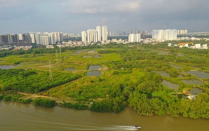 Quốc Cường Gia Lai muốn bán tài sản để trả món nợ liên quan bà Trương Mỹ Lan