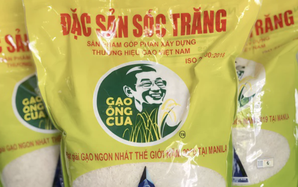 Giống lúa ST25 sản xuất bao nhiêu, bán hết bấy nhiêu