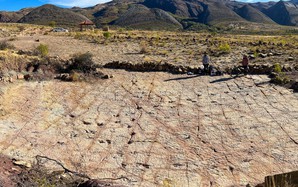 Gần 18.000 dấu chân quái vật "xới nát" công viên quốc gia