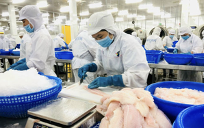 Báo cáo mới của ILO về xu hướng việc làm tại Việt Nam