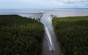 Hơn 2.631 tỉ đồng thực hiện 147 dự án bảo vệ "lá chắn xanh"