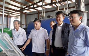 TP HCM: Hỗ trợ hơn 600 triệu đồng tiền máy móc, thiết bị cho 2 HTX