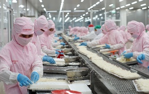 COFIDEC xanh hóa sản xuất, vươn tầm thủy sản Việt