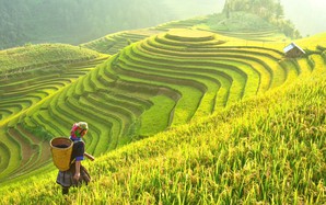 Nâng tầm vị thế du lịch TP HCM