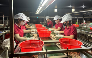 Tăng sức cạnh tranh cho doanh nghiệp Việt